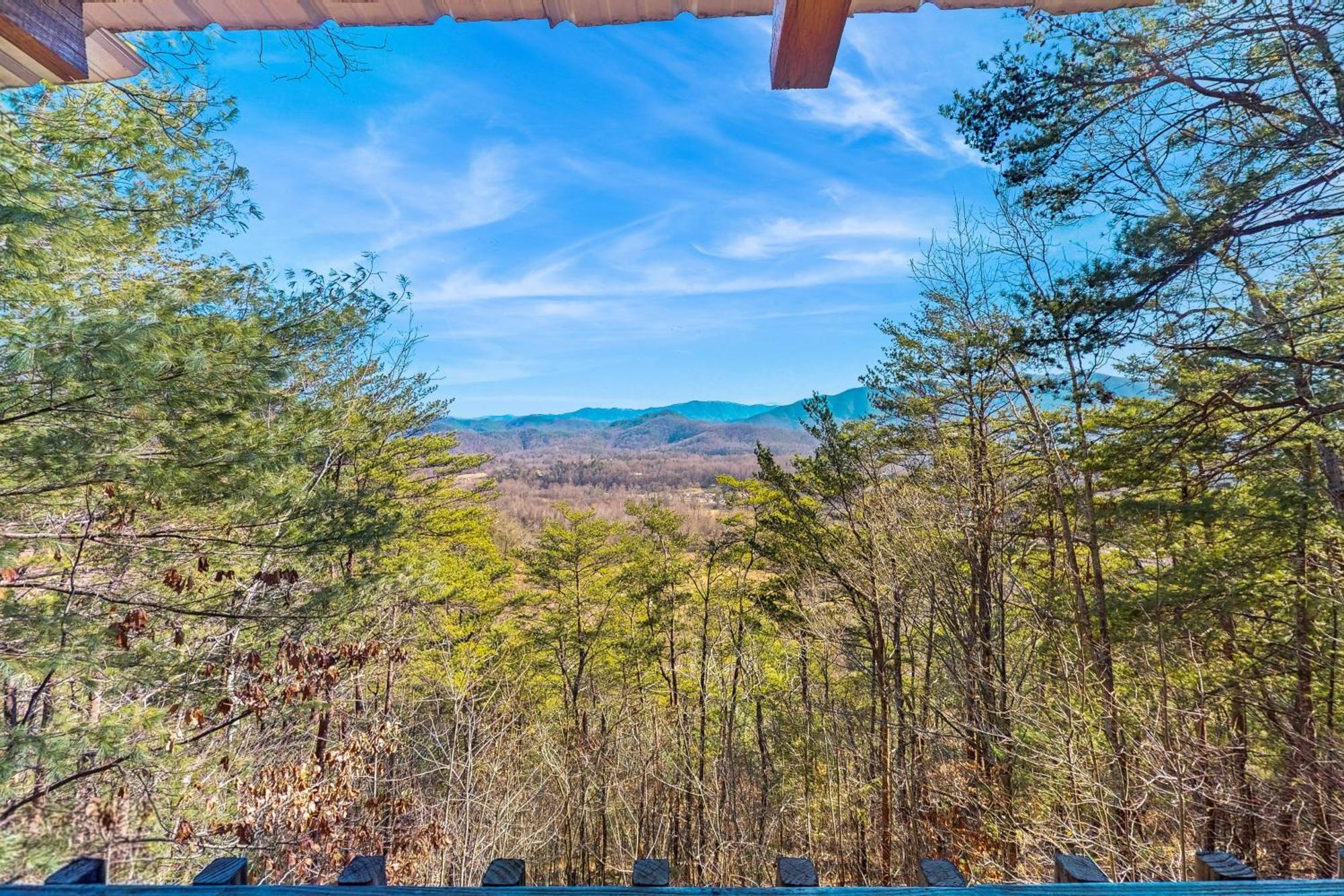 Treetop Tennessee Townsend Dış mekan fotoğraf